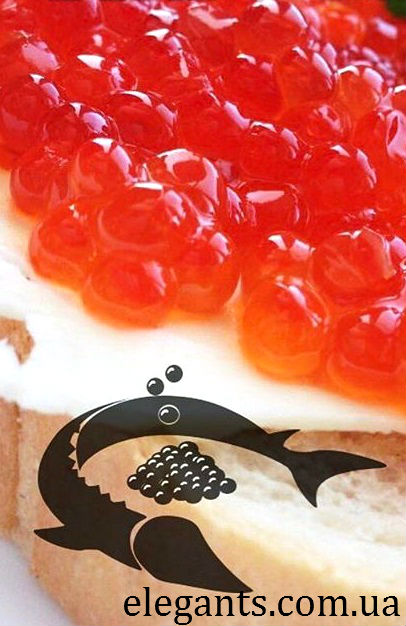 черная икра белуги,черная икра белуги купить,морепродукты,икра,белуга,осетр,севрюга,деликатесы,черная икра,красная икра,икра,субпродукты,красная икра,черная икра,икра лососевая,икра летучей рыбы,икра частиковых рыб,продукты,продукты питания,какие продукты,магазин продуктов,таблица продуктов,список продуктов,продуктовый магазин,простой рецепт,акция сегодня,новости,последние новости,новости сегодня,новости 2015,новости россии,новости украины,интересные новости,икра,красная икра,черная икра,икра цена,купить икру,икра фото,лосось,рыба,красная рыба,соление,еда,вкусная еда,продукты,продукты питания,какие продукты,магазин продуктов,таблица продуктов,список продуктов,продуктовый магазин,простой рецепт,акция сегодня,новости,последние новости,новости сегодня,новости 2015,новости россии,новости украины,интересные новости,икра,красная икра,черная икра,икра цена,купить икру,икра фото,лосось,рыба,красная рыба,соление,еда,вкусная еда,продукты,продукты питания,какие продукты,магазин продуктов,таблица продуктов,список продуктов,продуктовый магазин,простой рецепт,акция сегодня,новости,последние новости,новости сегодня,новости 2015,новости россии,новости украины,интересные новости,икра,красная икра,черная икра,икра цена,купить икру,икра фото,лосось,рыба,красная рыба,соление,еда,вкусная еда