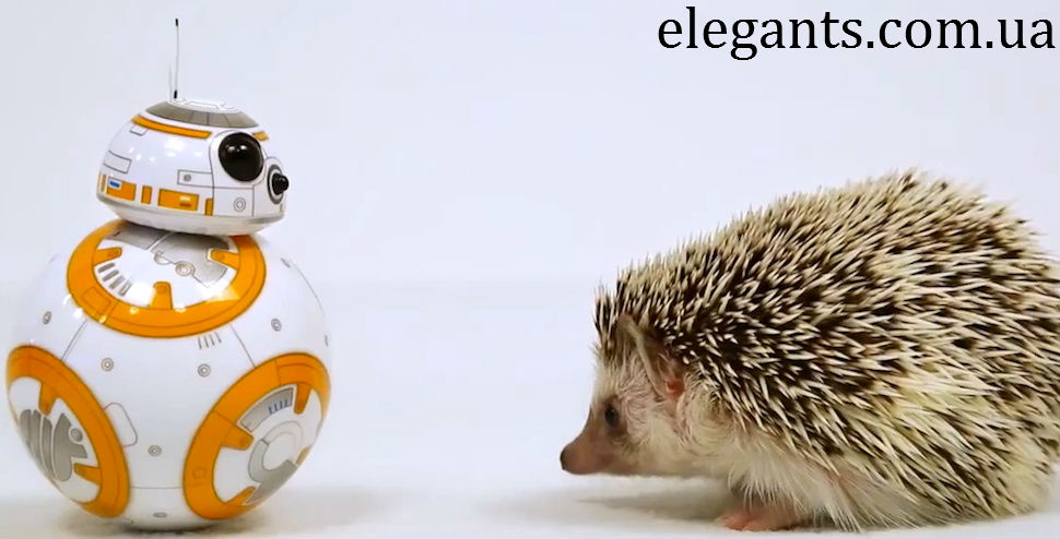 Каблуки в виде BB-8 из «Звёздных войн»- последние интересные новости на сегодня на сайте супермаркета : интернет магазина одежды и обуви «Элегант» в Сумах (Украина) - каталог обуви моды (смотреть онлайн бесплатно видео и фото обувь будущего) Digitsole,обувь Digitsole,обувь,магазин обуви,сайт обуви,обувь интернет,обувь интернет магазин,купить обувь,детская обувь,размеры обуви,сапоги,купить сапоги,сапоги женские,смотреть сапоги,кроссовки купить,валенки,кроссовки,купить кроссовки nike