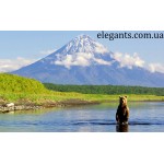 Шесть фактов о воде - последние интересные новости на elegants.com.ua супермаркета интернет магазин «Elegant» Сумы (Украина) - каталог продуктов питания (смотреть онлайн видео и фото)