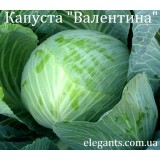Семена капусты Валентина