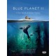 Сериал BBC: Голубая планета/The Blue Planet 2 сезон онлайн