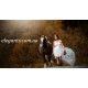 Комедия «Сбежавшая невеста» (англ. Runaway Bride)